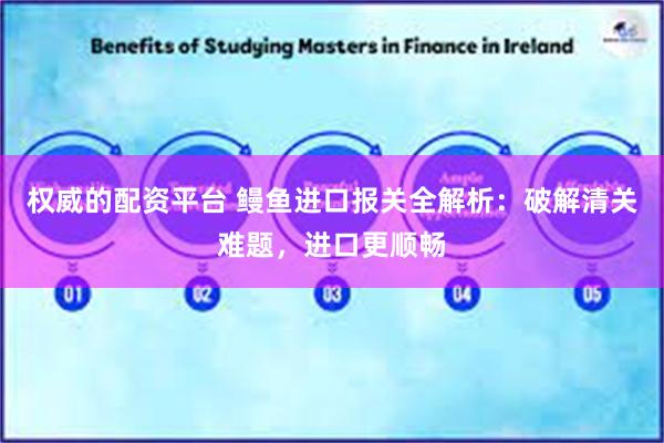 权威的配资平台 鳗鱼进口报关全解析：破解清关难题，进口更顺畅