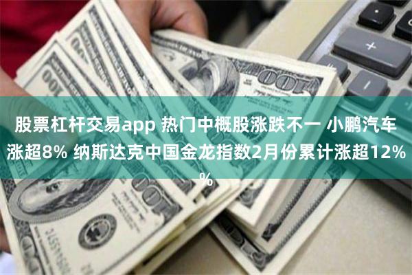 股票杠杆交易app 热门中概股涨跌不一 小鹏汽车涨超8% 纳斯达克中国金龙指数2月份累计涨超12%