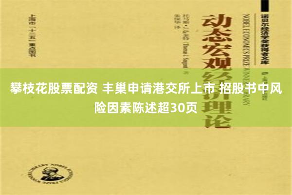 攀枝花股票配资 丰巢申请港交所上市 招股书中风险因素陈述超30页