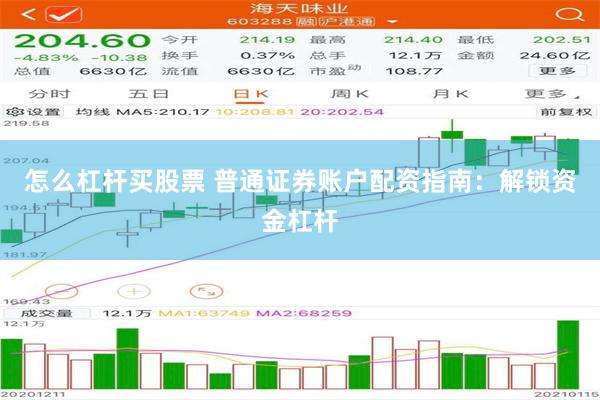 怎么杠杆买股票 普通证券账户配资指南：解锁资金杠杆