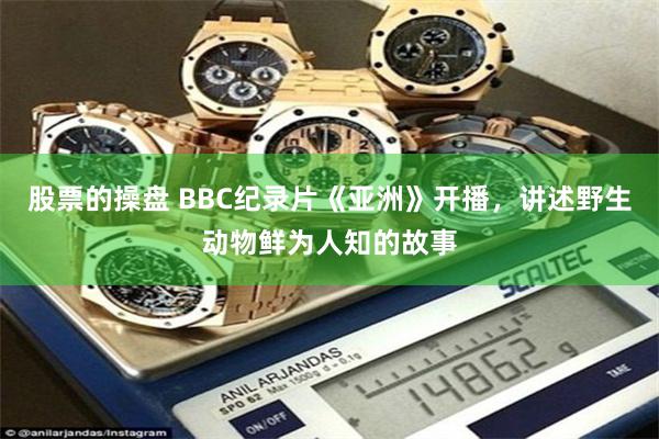 股票的操盘 BBC纪录片《亚洲》开播，讲述野生动物鲜为人知的故事