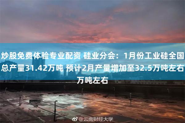 炒股免费体验专业配资 硅业分会：1月份工业硅全国总产量31.42万吨 预计2月产量增加至32.5万吨左右