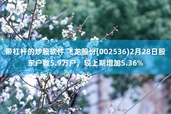 带杠杆的炒股软件 飞龙股份(002536)2月28日股东户数5.9万户，较上期增加5.36%