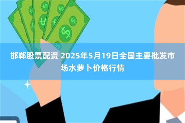 邯郸股票配资 2025年5月19日全国主要批发市场水萝卜价格行情