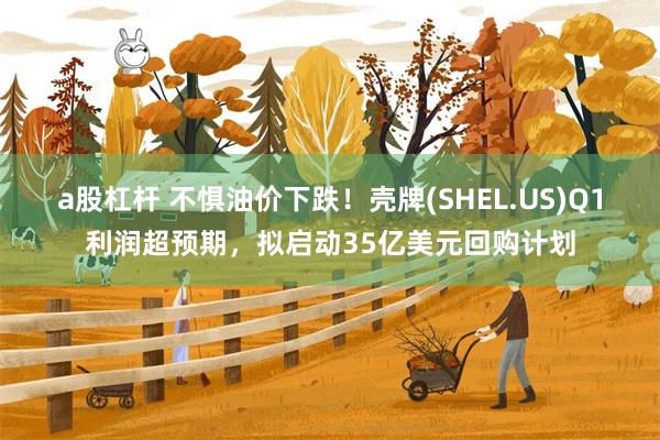 a股杠杆 不惧油价下跌！壳牌(SHEL.US)Q1利润超预期，拟启动35亿美元回购计划
